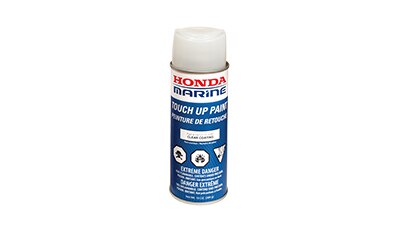 Honda paint in a can 